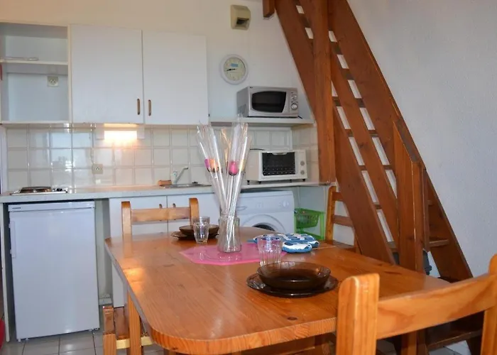 2 Pieces Mezzanine 6 Couchages St Cyprien Sc490-022 Lägenhet *